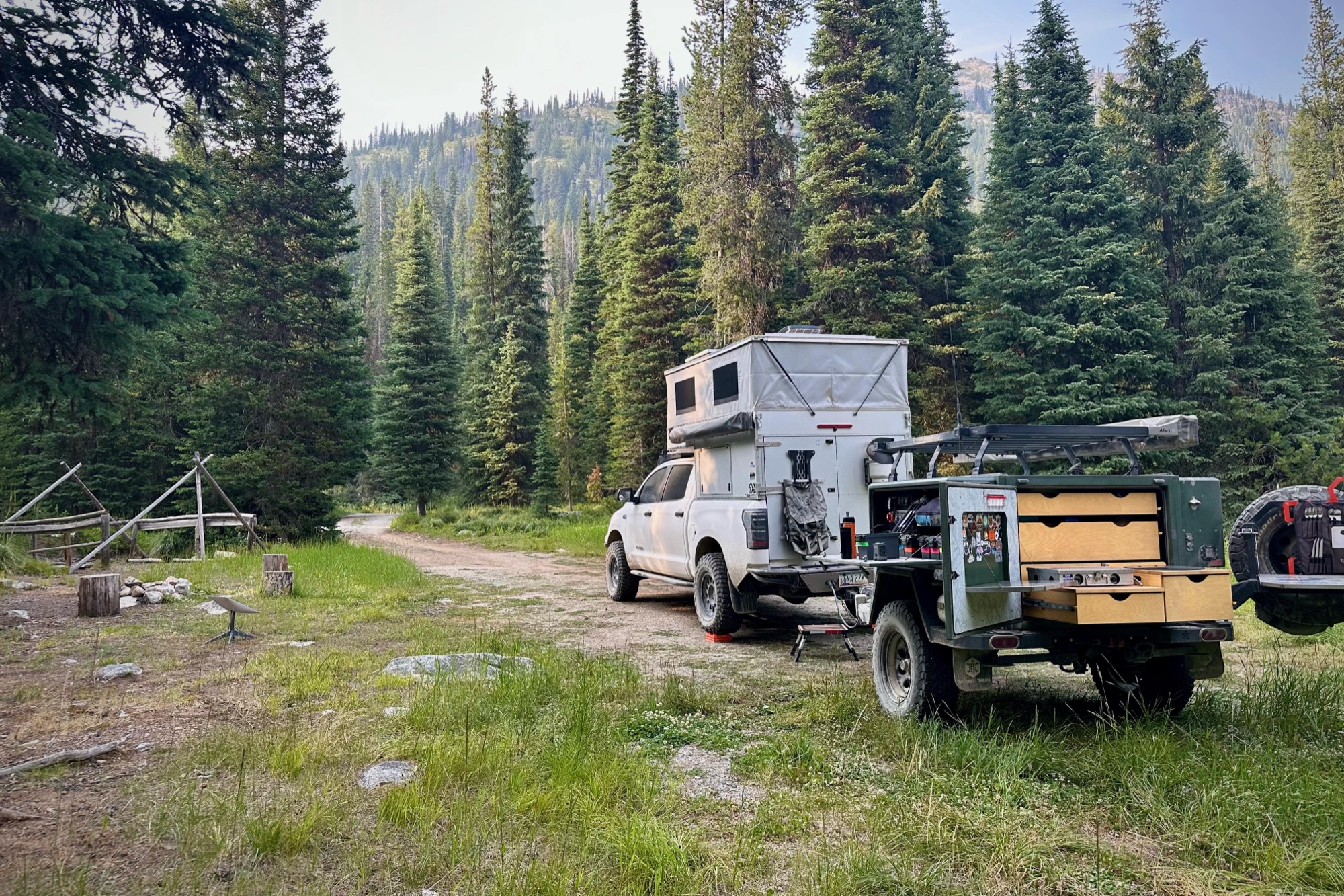 Dispersed camp among towering pines
