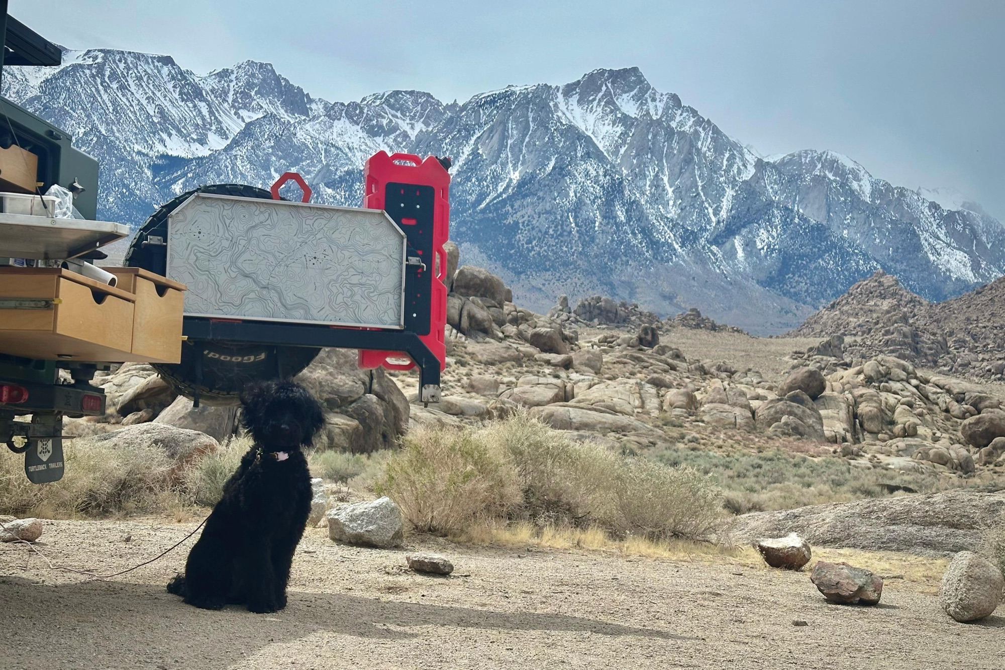 Sierra Nevada backdrop, trail dog on duty